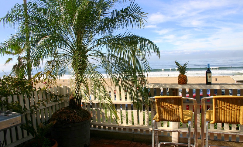 Why Pet Friendly Oceanfront Rentals California Travelers Keep Coming Back